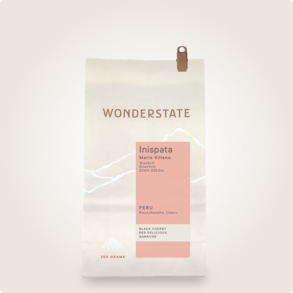 Peru Inispata bag