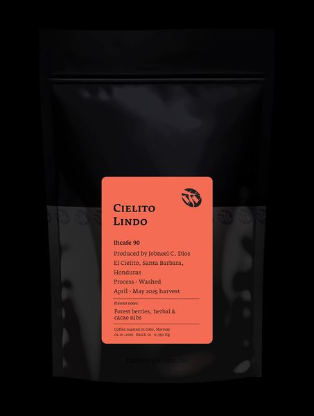 Cielito Lindo bag