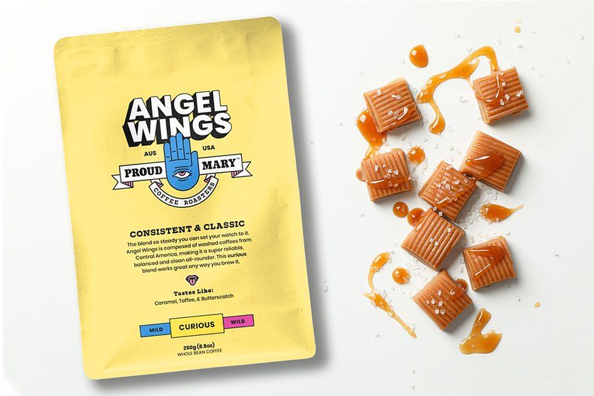 Angel Wings bag