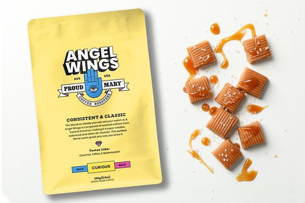 Angel Wings bag
