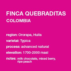 Finca Quebraditas bag