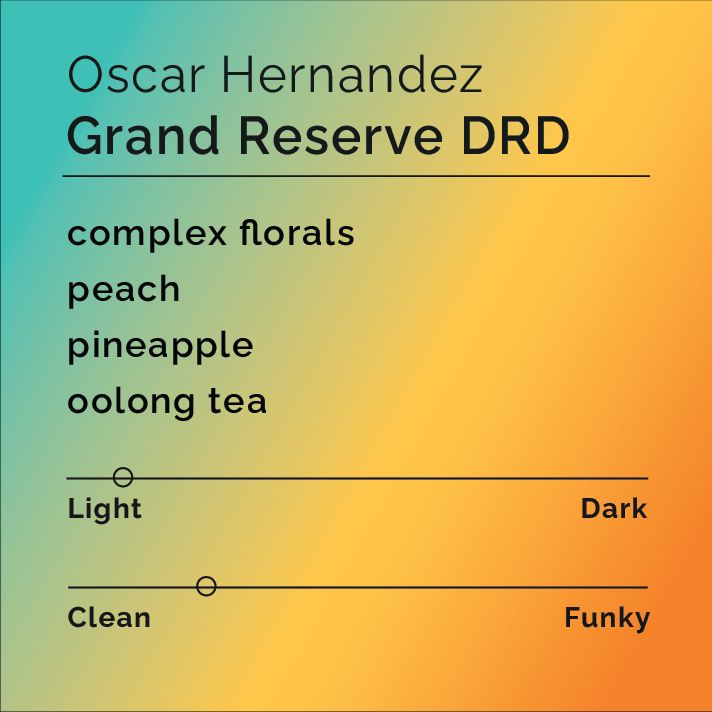 Oscar Hernandez Grand Reserve bag