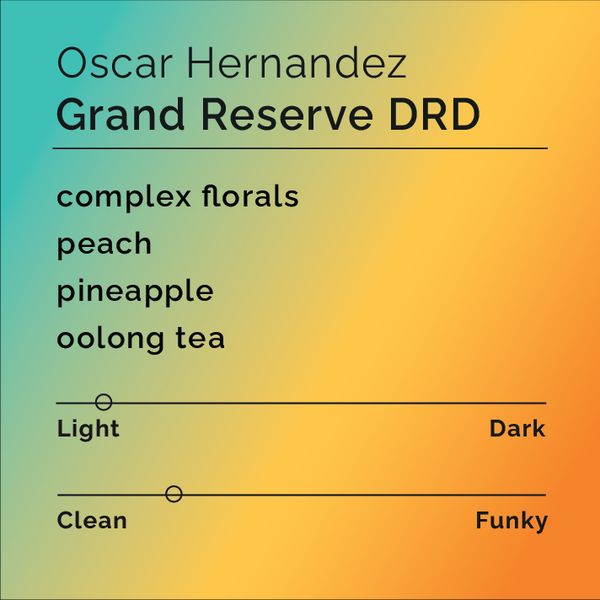 Oscar Hernandez Grand Reserve bag