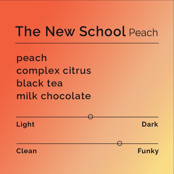 The New School Peach bag