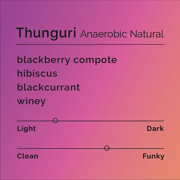 Thunguri Anaerobic bag