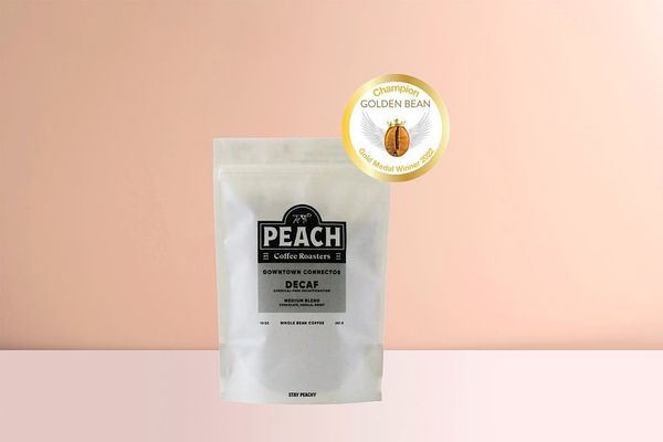 Downtown Connector bag