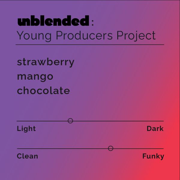 Young Producers Project bag