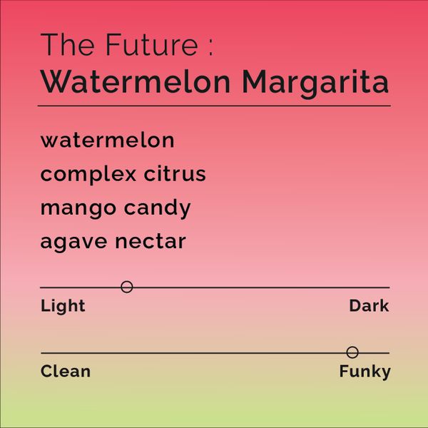 The Future Watermelon Margarita bag