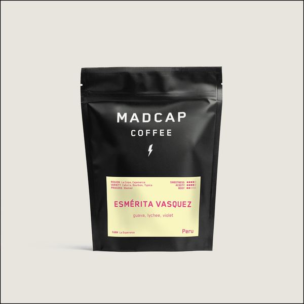 Esmérita Vasquez bag