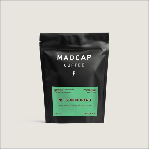 Nelson Moreno bag