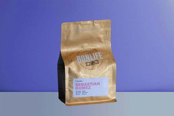 Sebastian Gomez bag