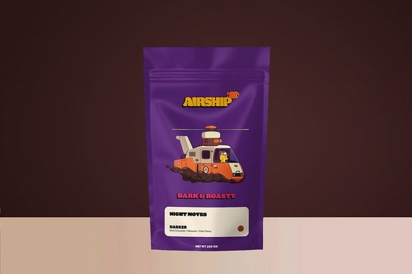 Night Moves bag