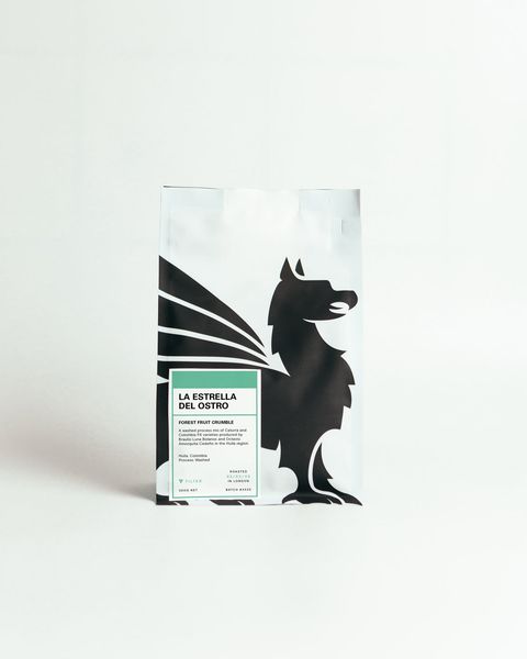 La Estrella del Ostro bag