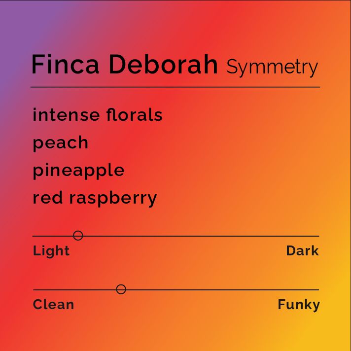 Finca Deborah Symmetry bag