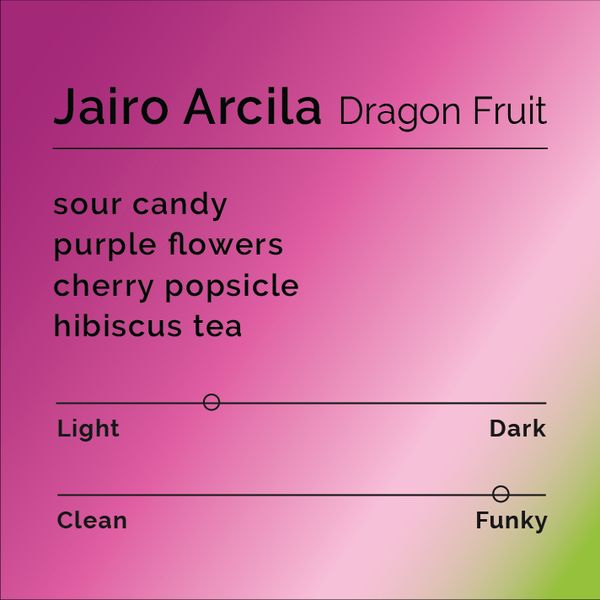 Jairo Arcila Dragonfruit bag