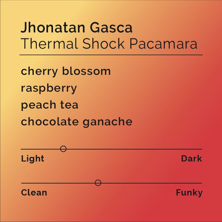 Jhonatan Gasca Pacamara bag