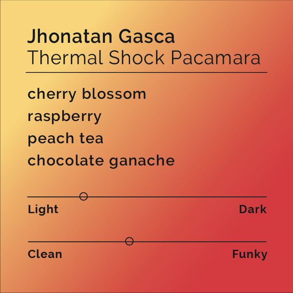 Jhonatan Gasca Pacamara bag
