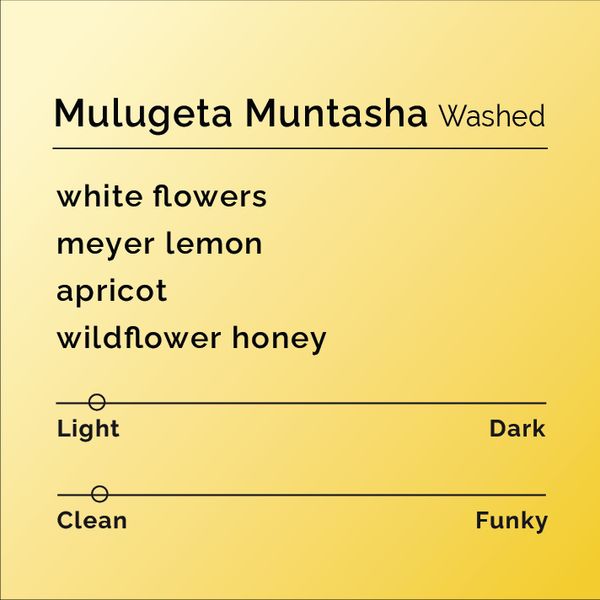 Mulugeta Muntasha bag