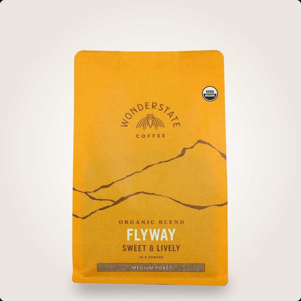 Flyway bag