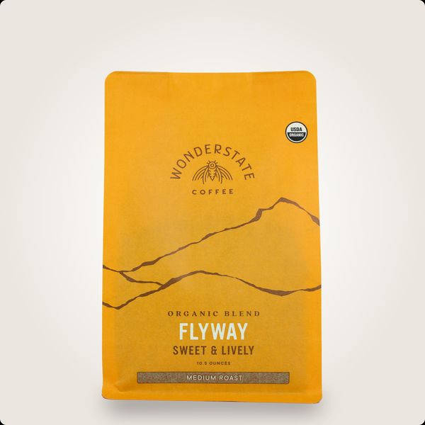Flyway bag