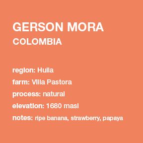 Gerson Mora bag