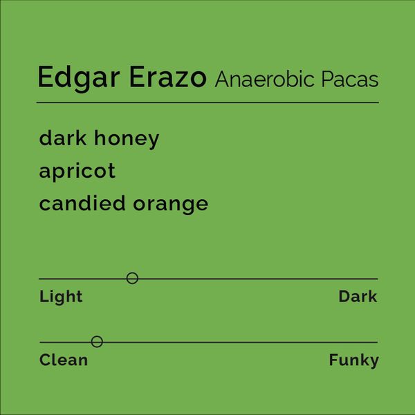 Edgar Erazo Anaerobic Pacas bag