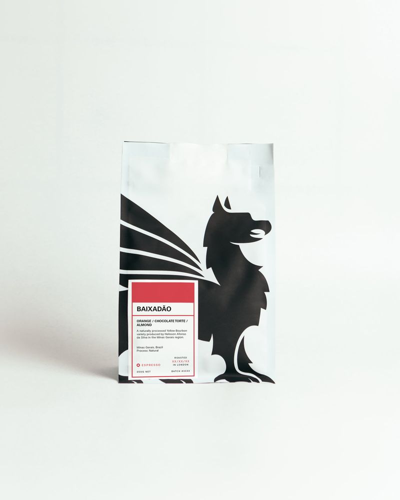 Baixadão bag