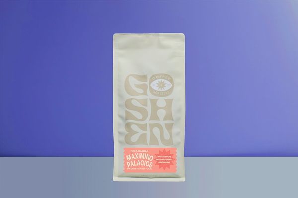 Maximino Palacios bag