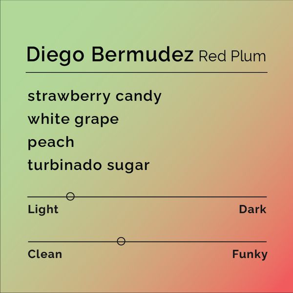 Diego Bermudez Red Plum bag