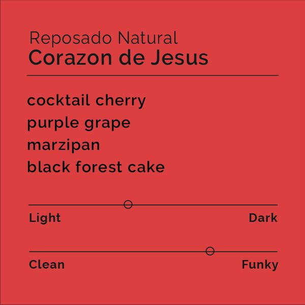 Corazon De Jesus Reposado bag