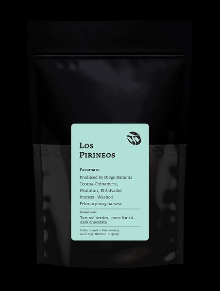 Los Pirineos Pacamara bag
