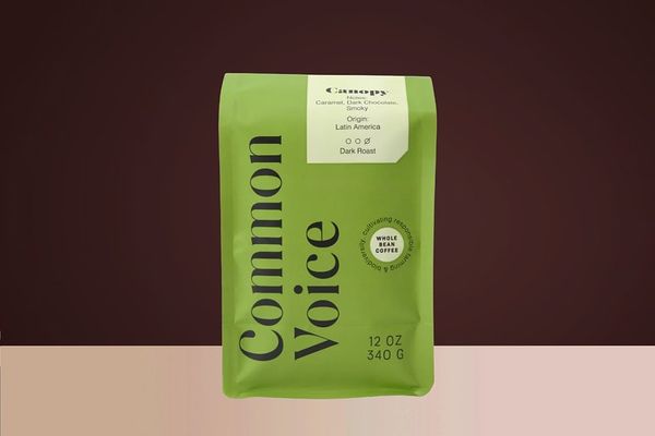 Canopy bag