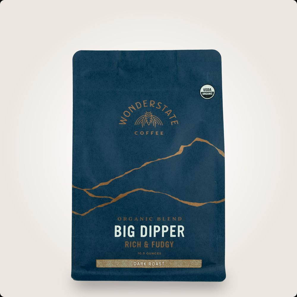 Big Dipper bag