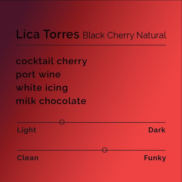 Lica Torres Black Cherry bag