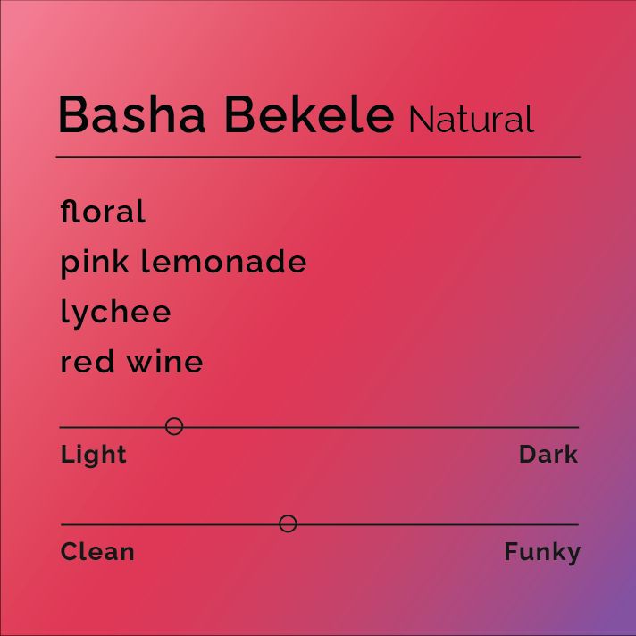 Basha Bekele bag