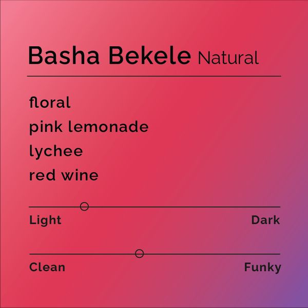Basha Bekele bag