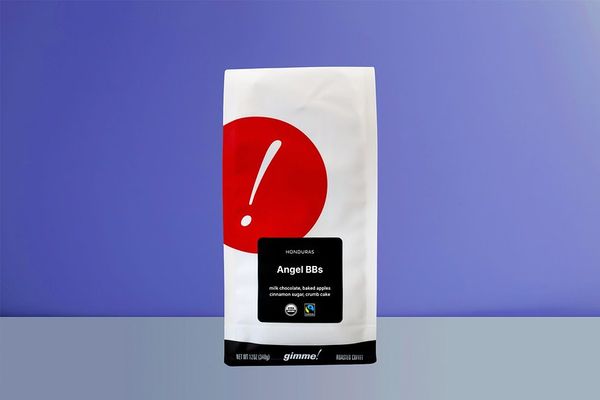Angel BBs bag