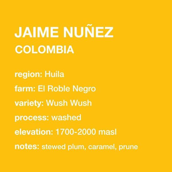 Jaime Nuñez bag