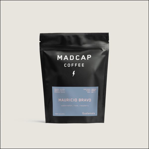 Mauricio Bravo bag